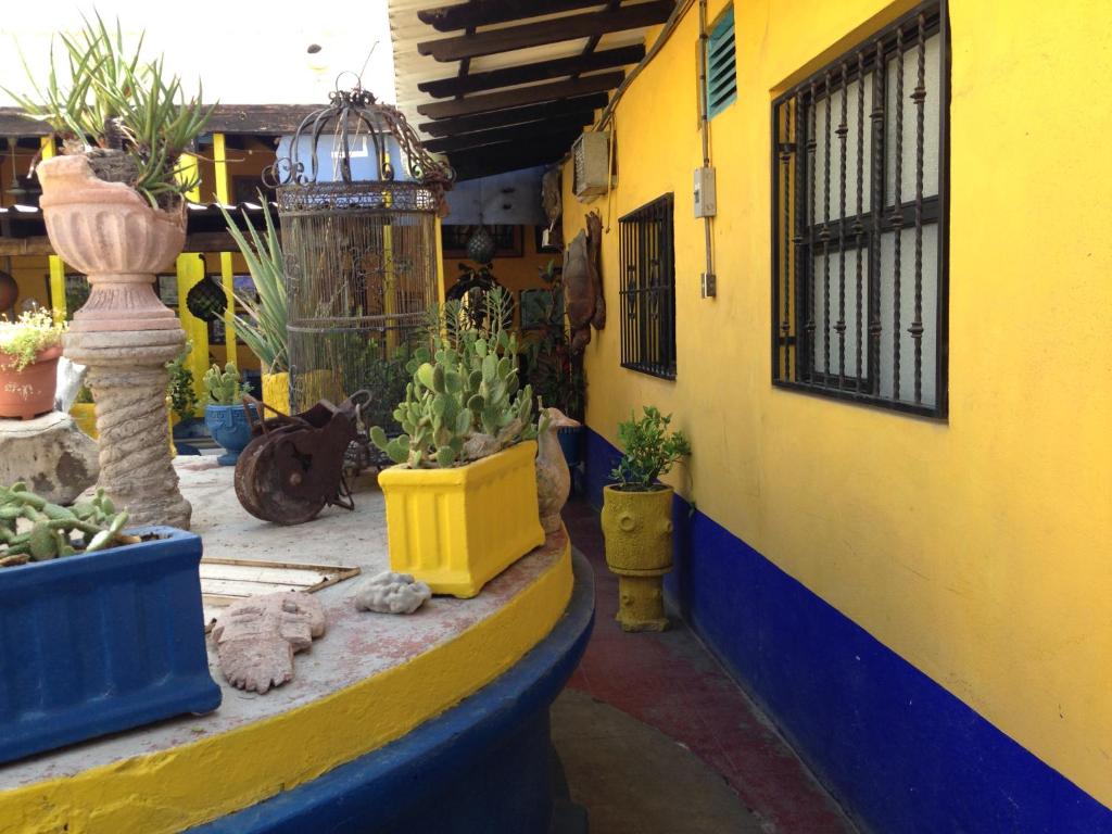 Imagen 2